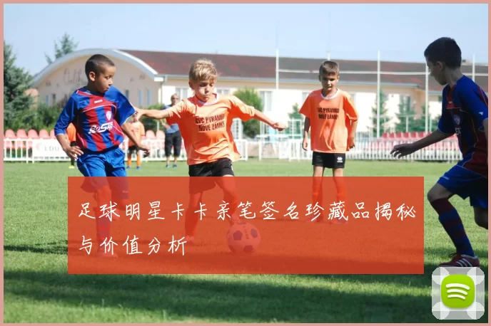 足球明星卡卡亲笔签名珍藏品揭秘与价值分析
