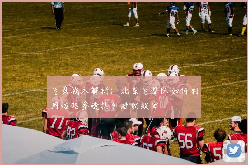 飞盘战术解析：北京飞盘队如何利用边路渗透提升进攻效率
