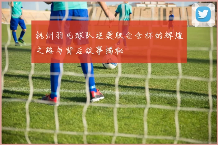 杭州羽毛球队逆袭联合会杯的辉煌之路与背后故事揭秘