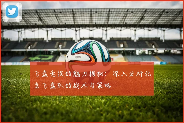 飞盘竞技的魅力揭秘：深入分析北京飞盘队的战术与策略
