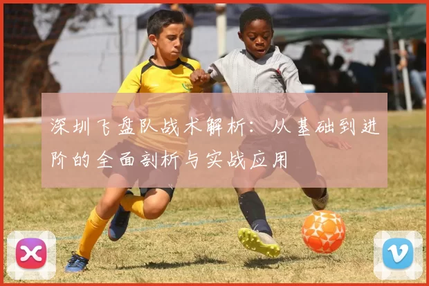 深圳飞盘队战术解析：从基础到进阶的全面剖析与实战应用