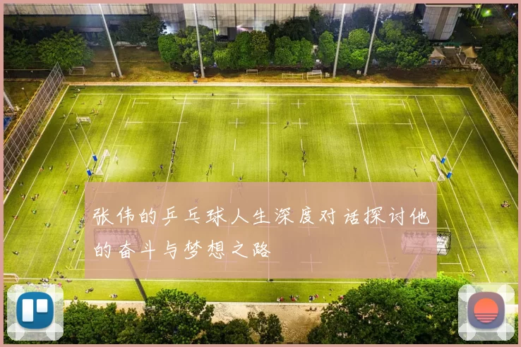 张伟的乒乓球人生深度对话探讨他的奋斗与梦想之路