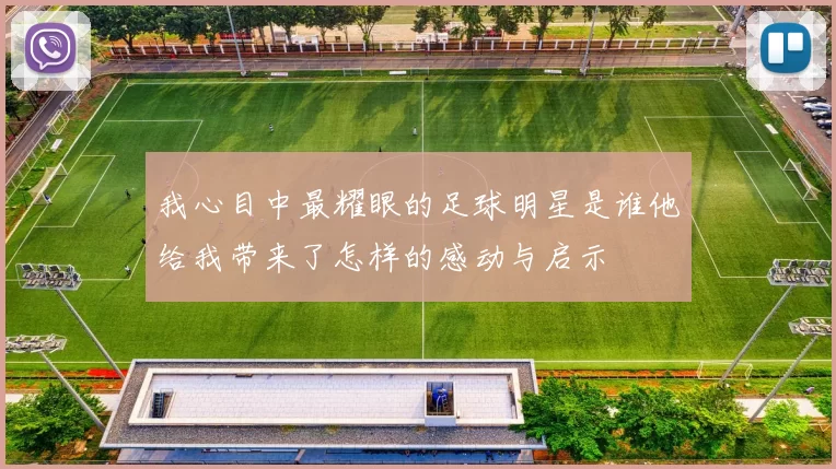 我心目中最耀眼的足球明星是谁他给我带来了怎样的感动与启示