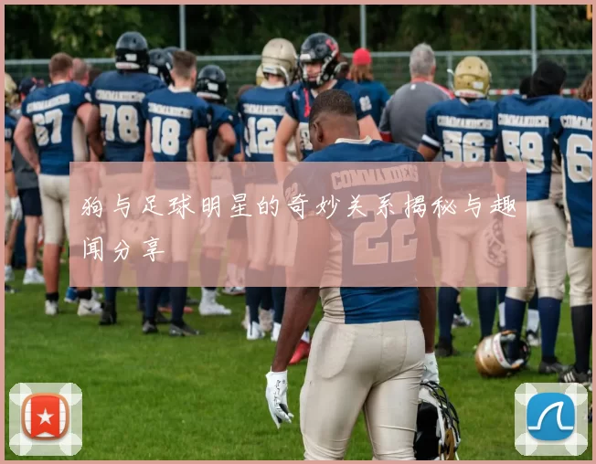 狗与足球明星的奇妙关系揭秘与趣闻分享