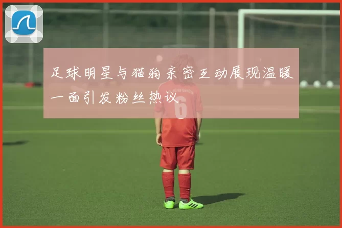 足球明星与猫狗亲密互动展现温暖一面引发粉丝热议