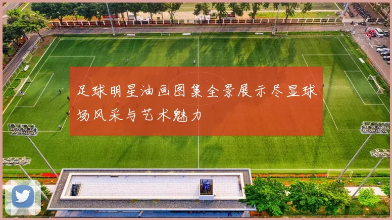 足球明星油画图集全景展示尽显球场风采与艺术魅力