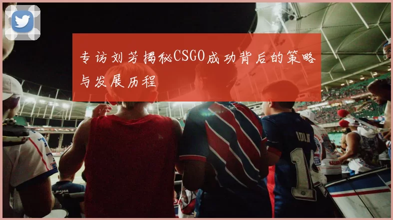 专访刘芳揭秘CSGO成功背后的策略与发展历程