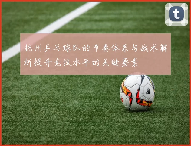 杭州乒乓球队的节奏体系与战术解析提升竞技水平的关键要素