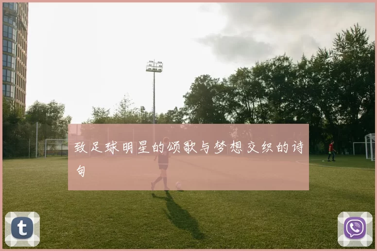 致足球明星的颂歌与梦想交织的诗句