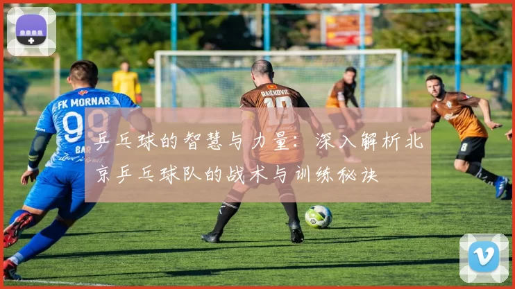 乒乓球的智慧与力量：深入解析北京乒乓球队的战术与训练秘诀