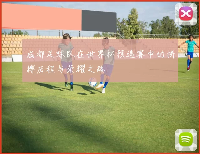 成都足球队在世界杯预选赛中的拼搏历程与荣耀之路