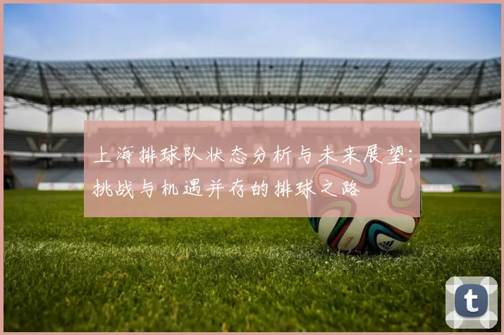 上海排球队状态分析与未来展望：挑战与机遇并存的排球之路