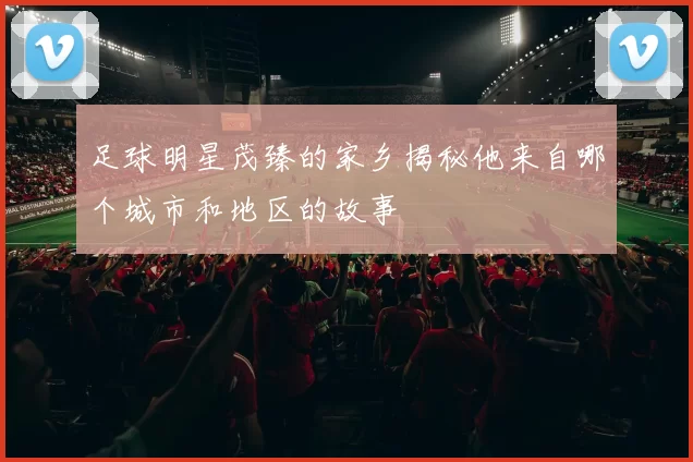 足球明星茂臻的家乡揭秘他来自哪个城市和地区的故事