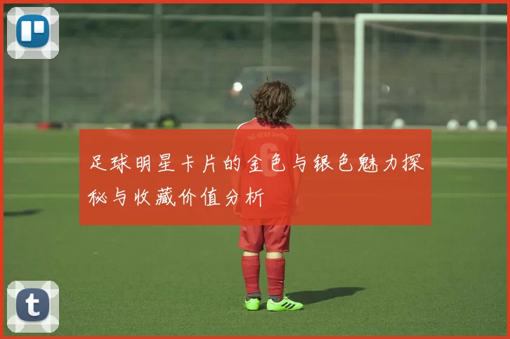 足球明星卡片的金色与银色魅力探秘与收藏价值分析