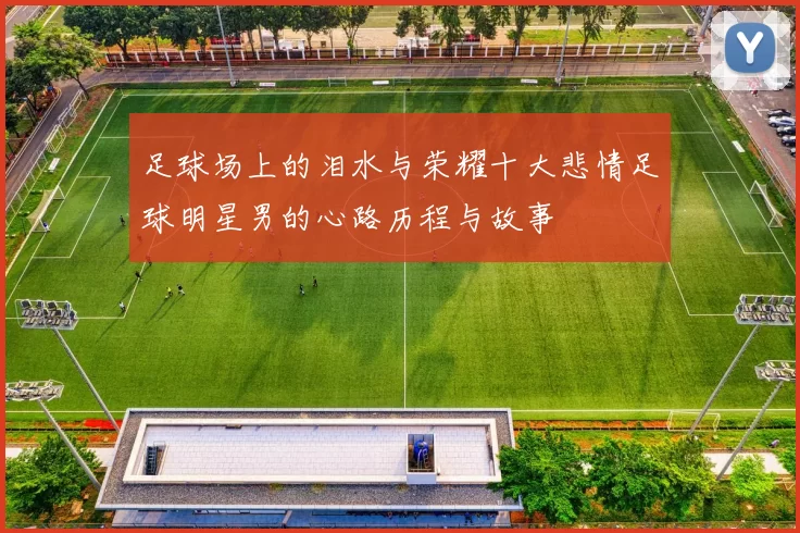 足球场上的泪水与荣耀十大悲情足球明星男的心路历程与故事