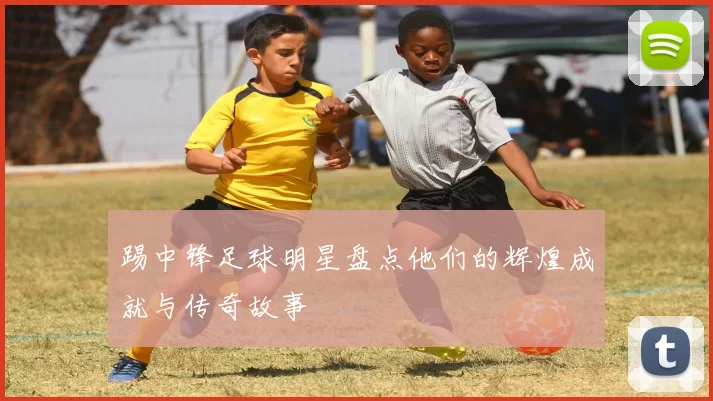踢中锋足球明星盘点他们的辉煌成就与传奇故事