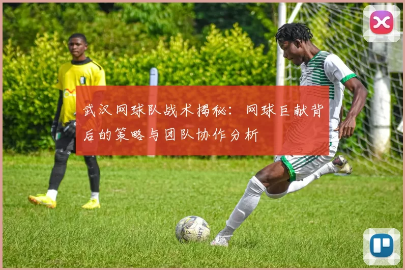 武汉网球队战术揭秘：网球巨献背后的策略与团队协作分析