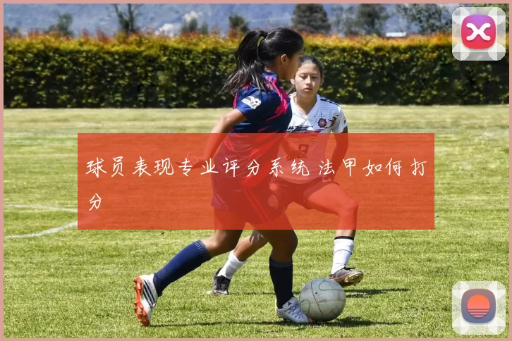 球员表现专业评分系统 法甲如何打分
