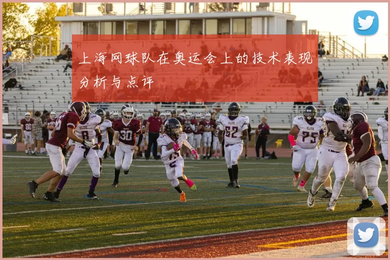 上海网球队在奥运会上的技术表现分析与点评