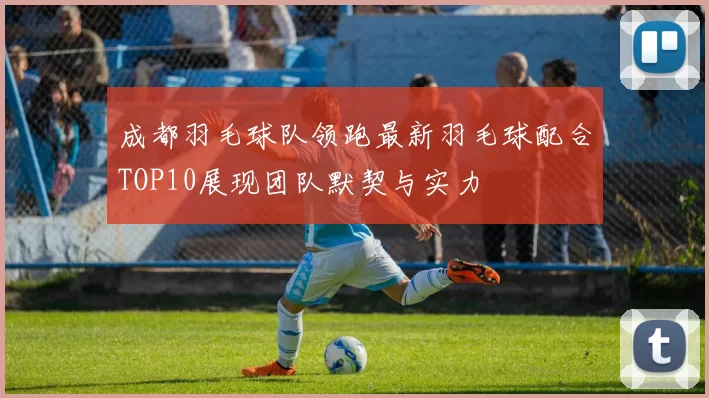 成都羽毛球队领跑最新羽毛球配合TOP10展现团队默契与实力