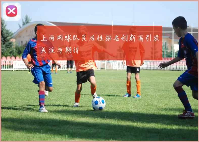 上海网球队灵活性排名创新高引发关注与期待