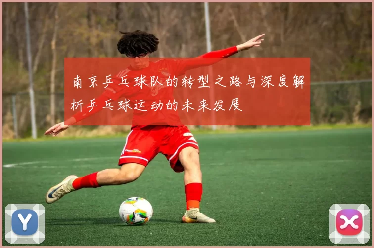 南京乒乓球队的转型之路与深度解析乒乓球运动的未来发展