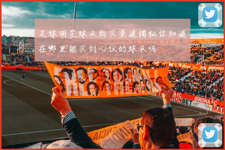 足球明星球衣购买渠道揭秘你知道在哪里能买到心仪的球衣吗