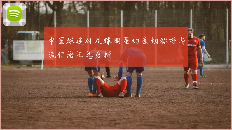 中国球迷对足球明星的亲切称呼与流行语汇总分析