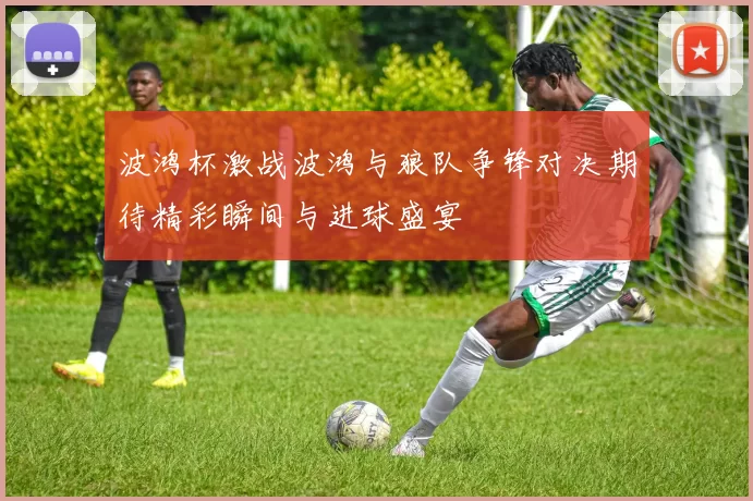 波鸿杯激战波鸿与狼队争锋对决期待精彩瞬间与进球盛宴