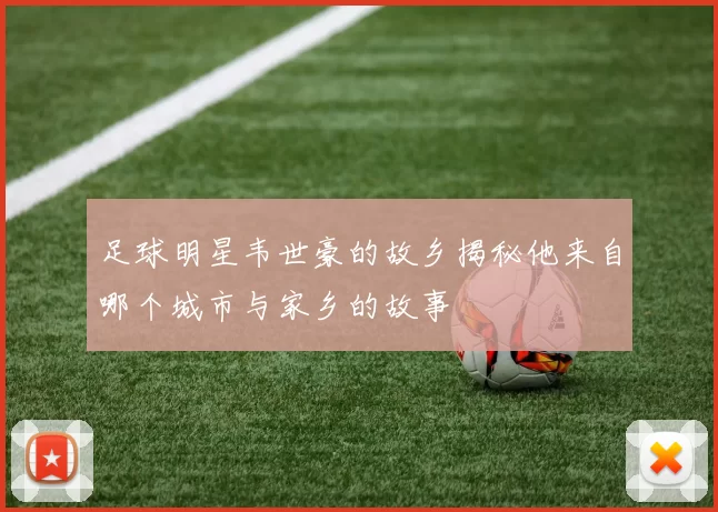 足球明星韦世豪的故乡揭秘他来自哪个城市与家乡的故事