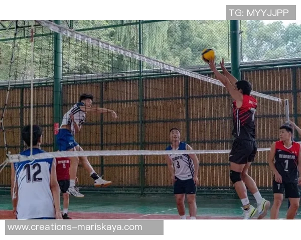 成都排球队心理素质创新高引发关注排球运动新风潮正在兴起