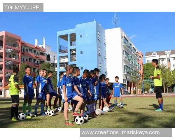 杨伟独家揭秘：深入解析足球技巧与战术心得分享